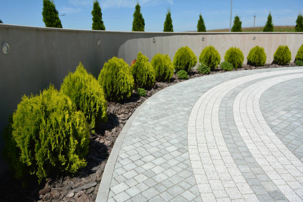 Best Driveway Repair Near Me  in Stony Point, NC